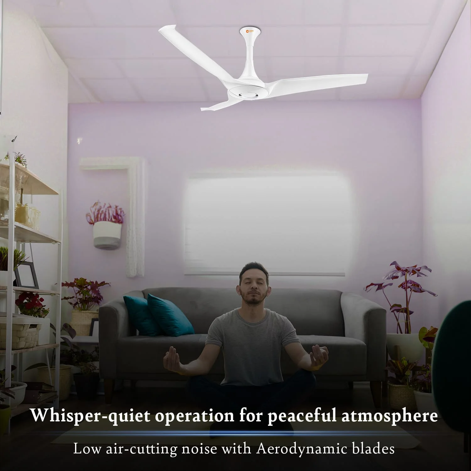 Aerostorm Premium Ceiling Fan | 2-year Warranty - Image 13