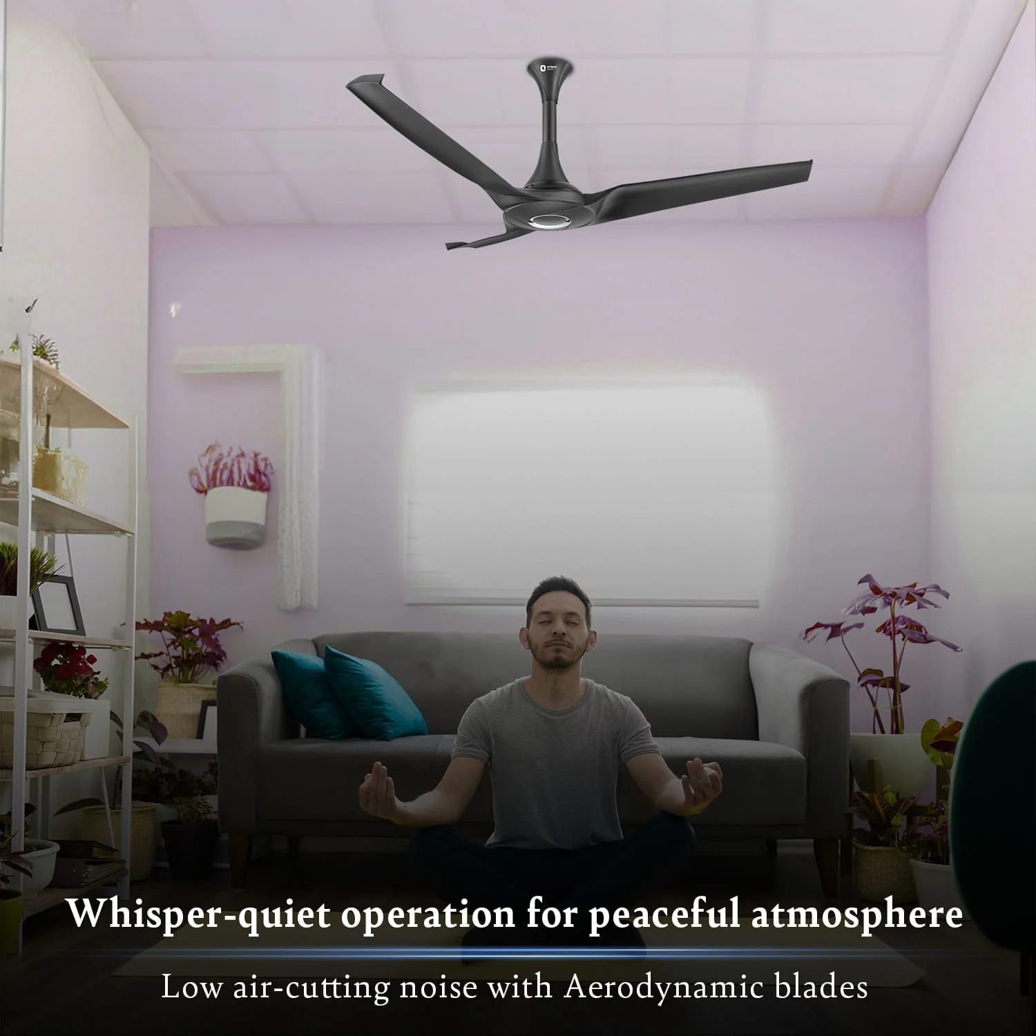 Aerostorm Premium Ceiling Fan | 2-year Warranty - Image 29