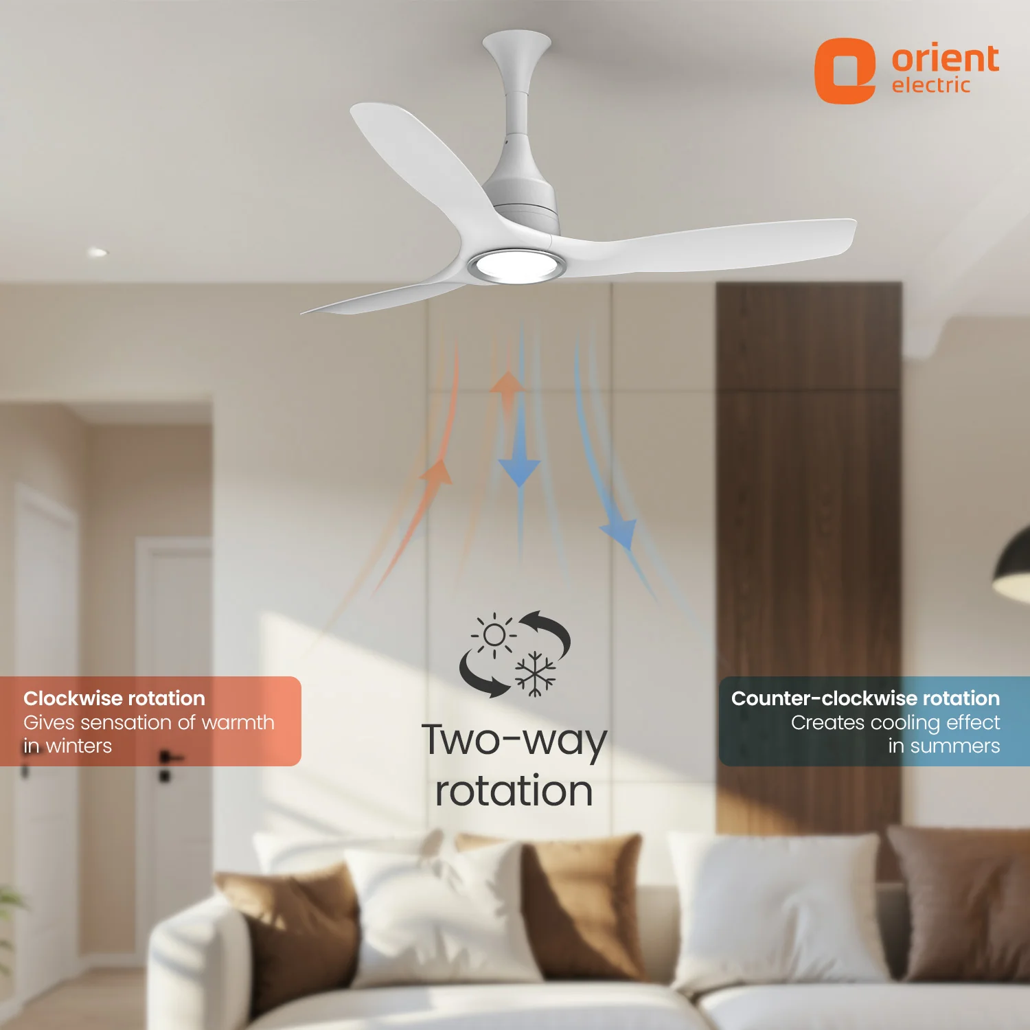 Aerosense Smart BLDC Ceiling Fan | 5 Year Warranty - Image 5