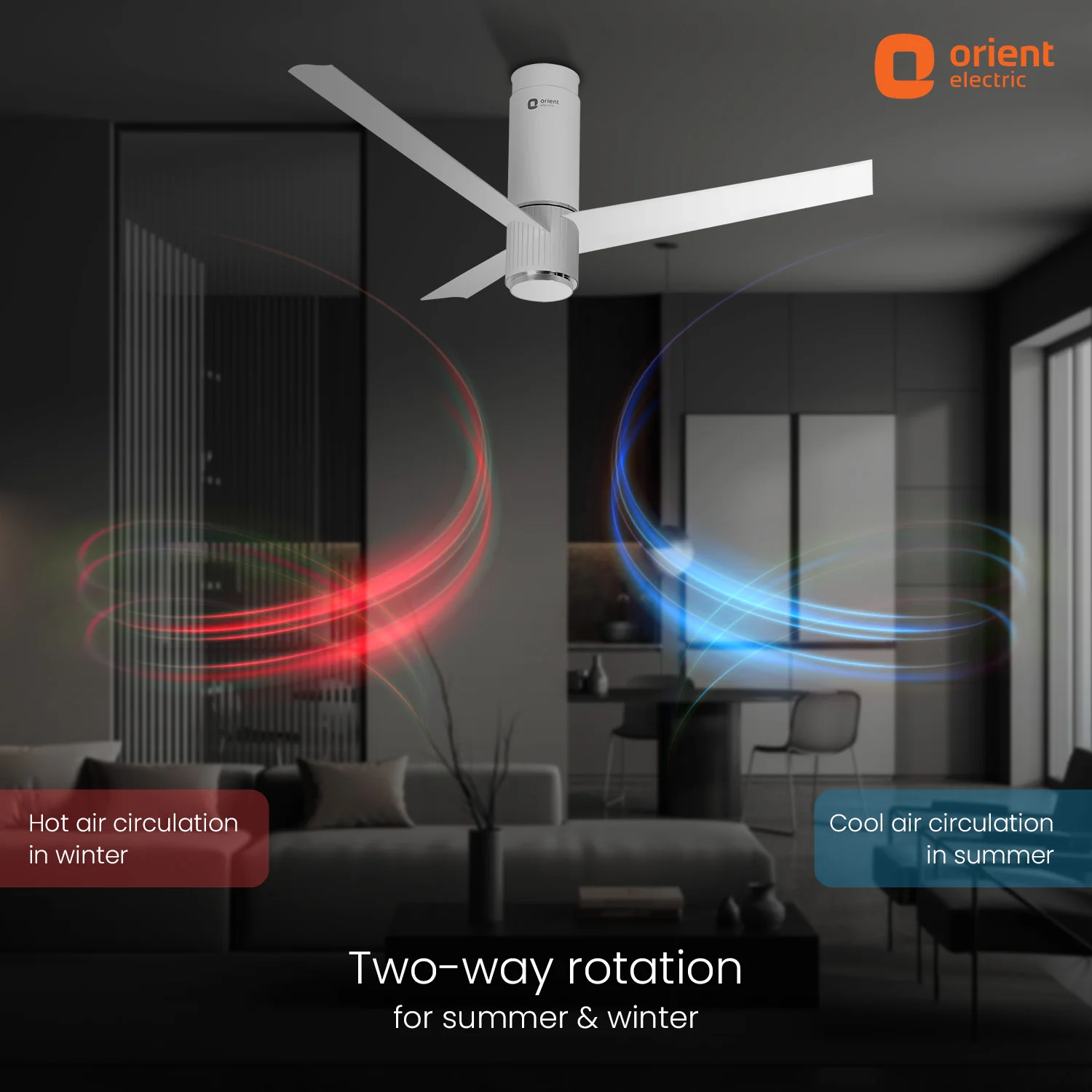 Aeroslim IoT Remote Fan with Light | 5-Year Warranty - Image 27
