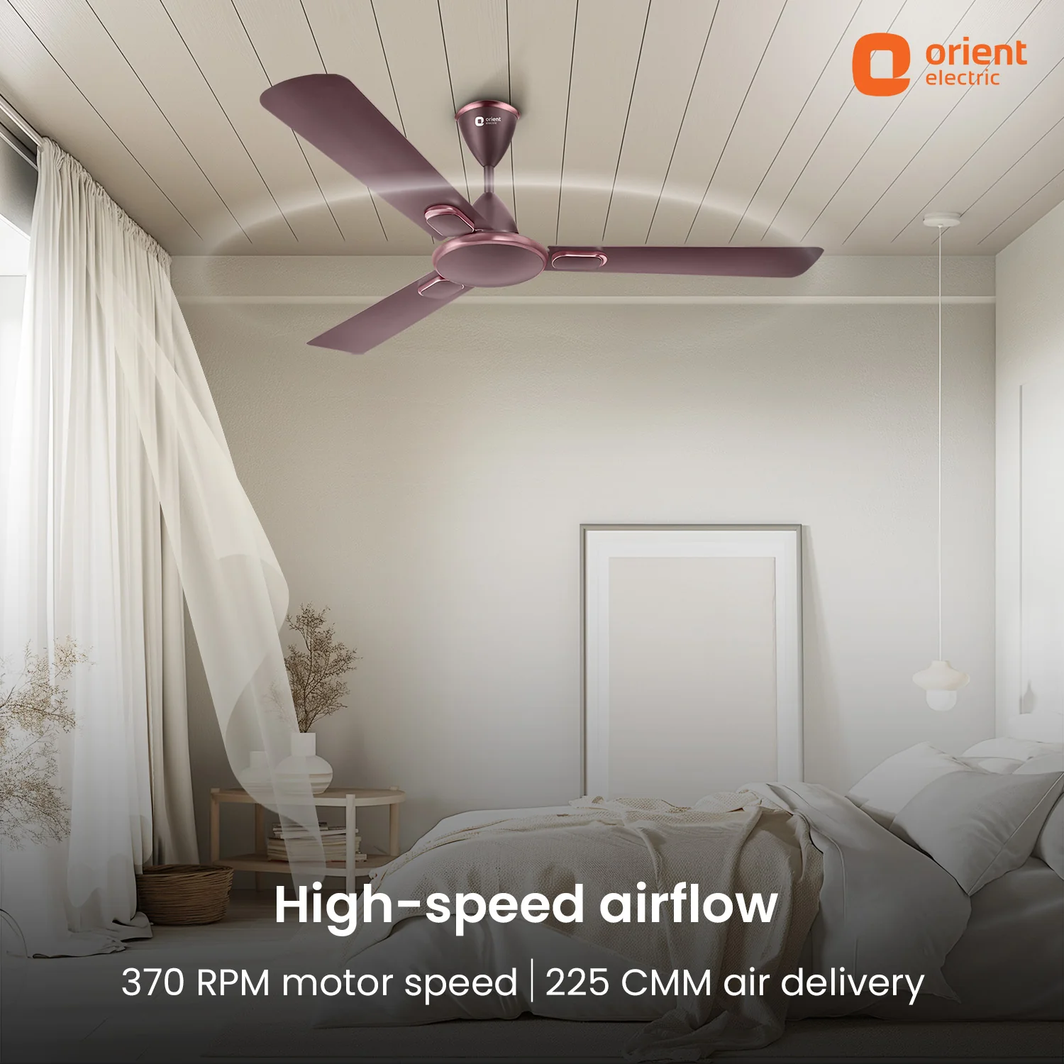 Blanco Decorative Ceiling Fan | 2-Year Warranty - Image 10