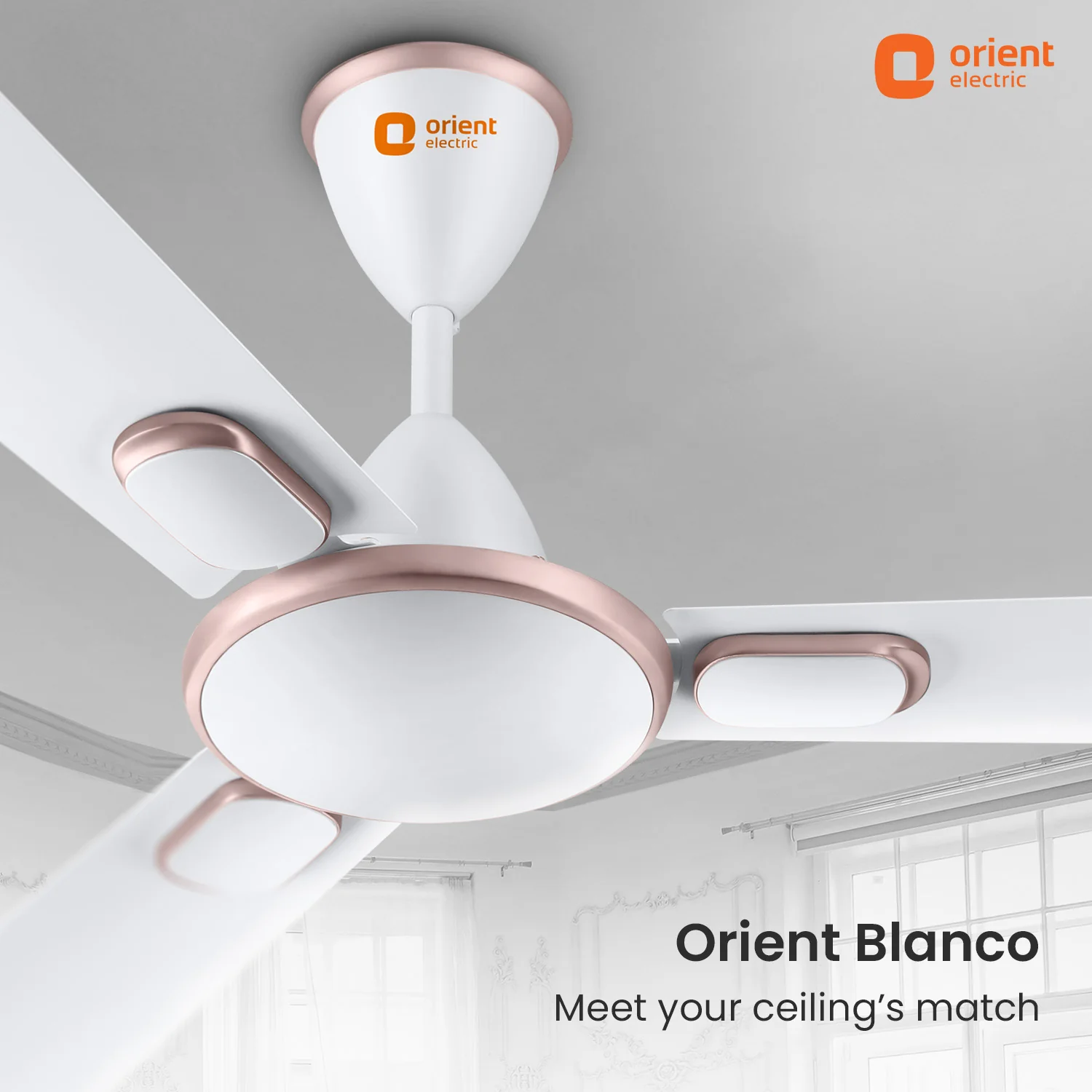Blanco Decorative Ceiling Fan | 2-Year Warranty - Image 25