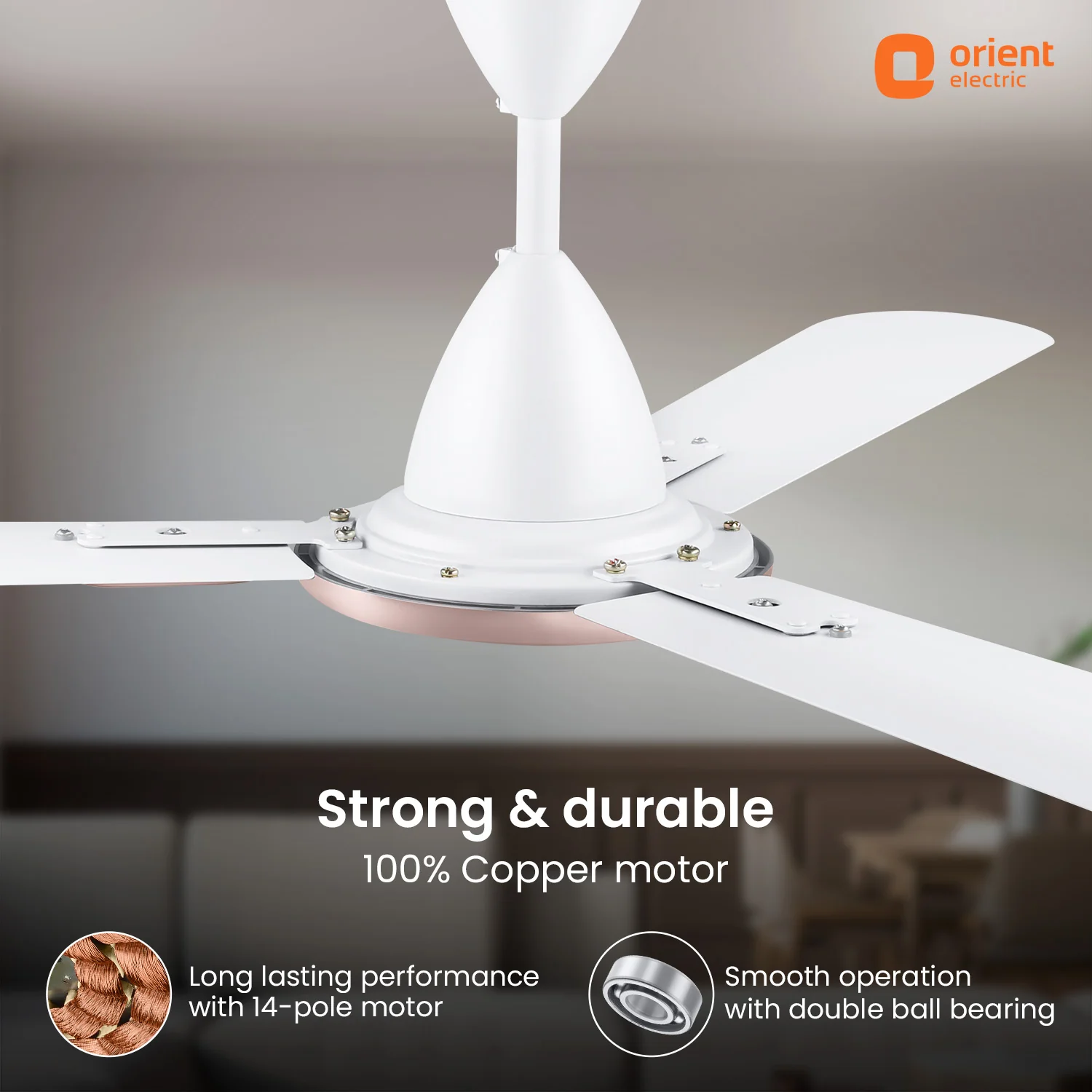 Blanco Decorative Ceiling Fan | 2-Year Warranty - Image 27