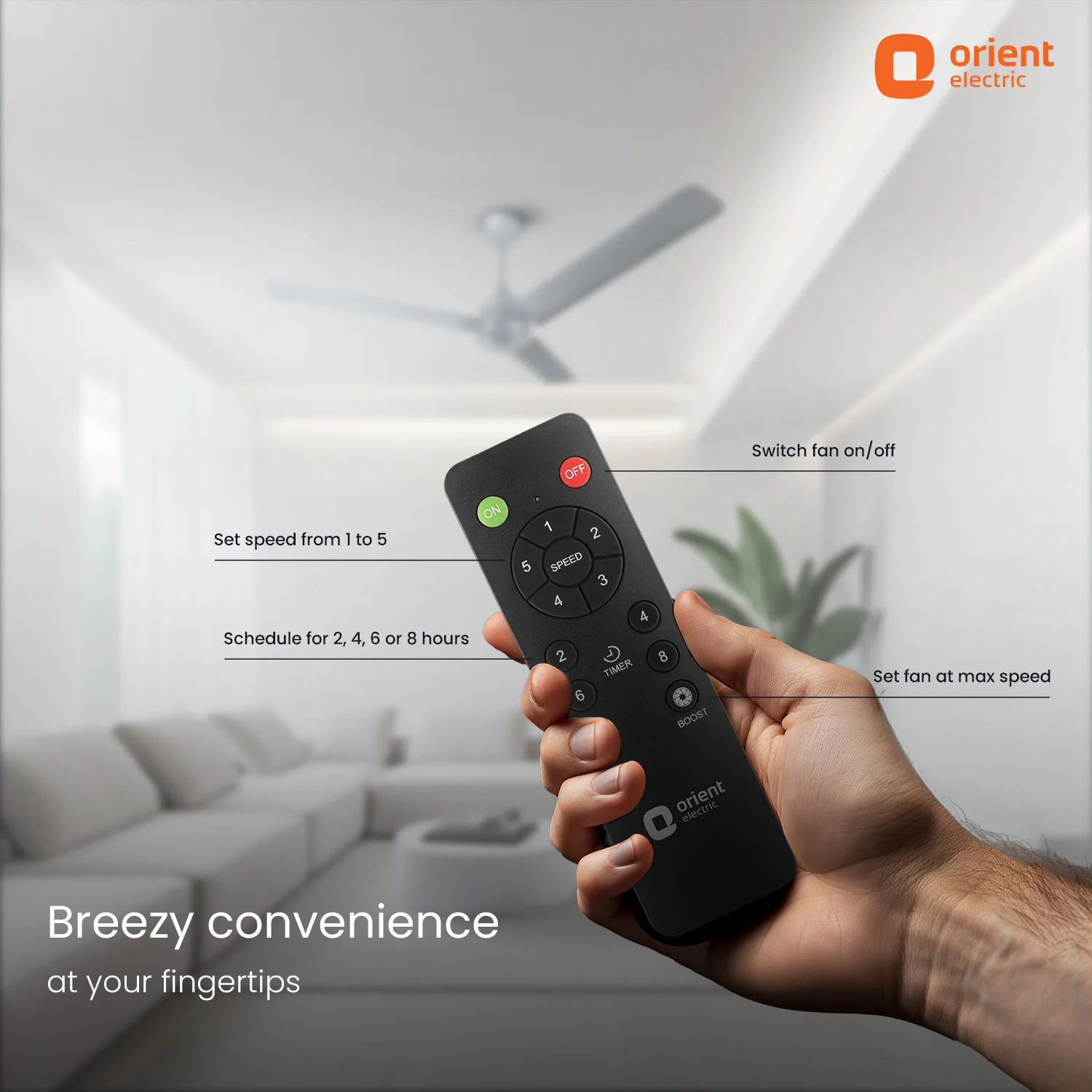 Ecotech Neu BLDC 5 Star Ceiling Fan | 3-Year Warranty - Image 3