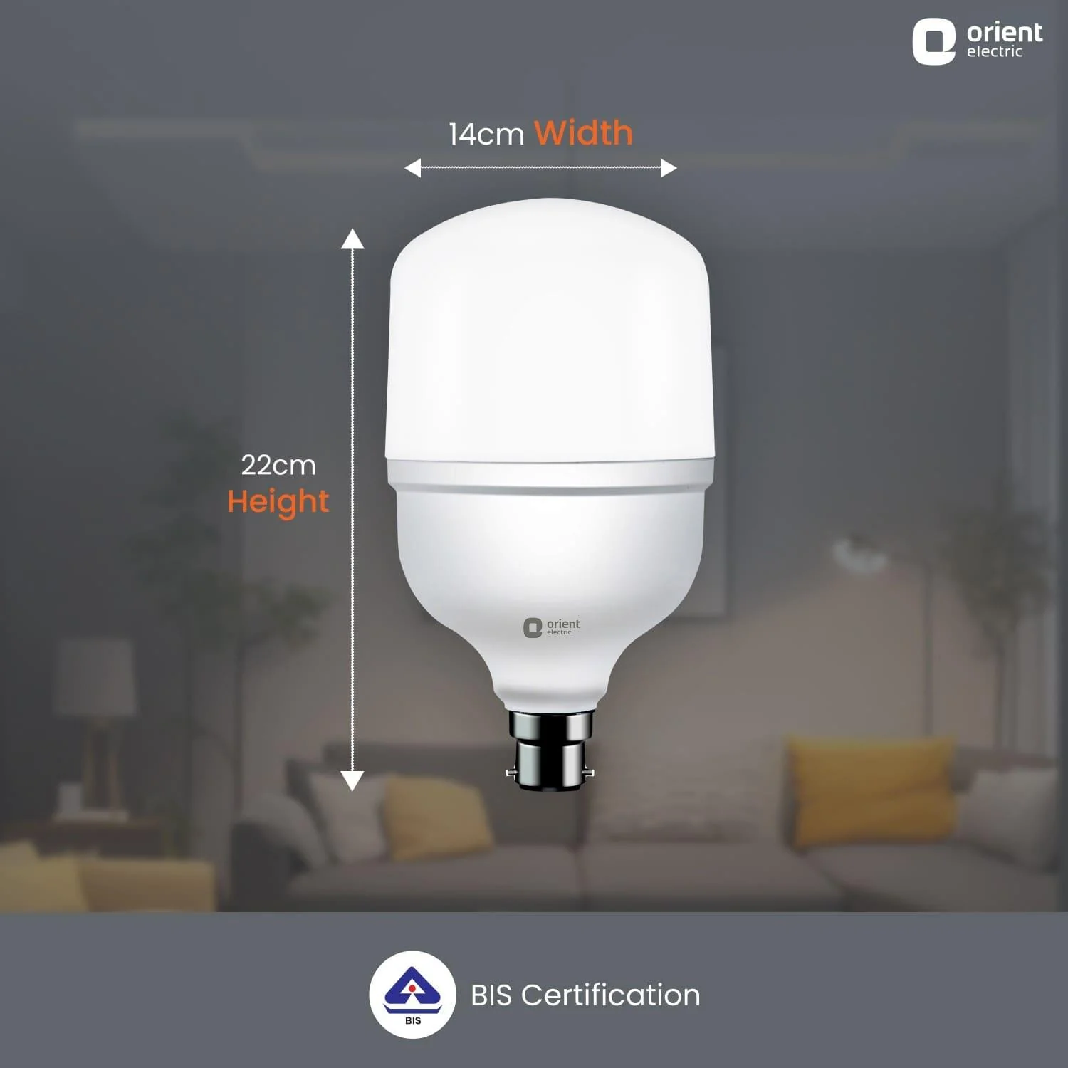 Eternal Shine LED Bulb - Image 14