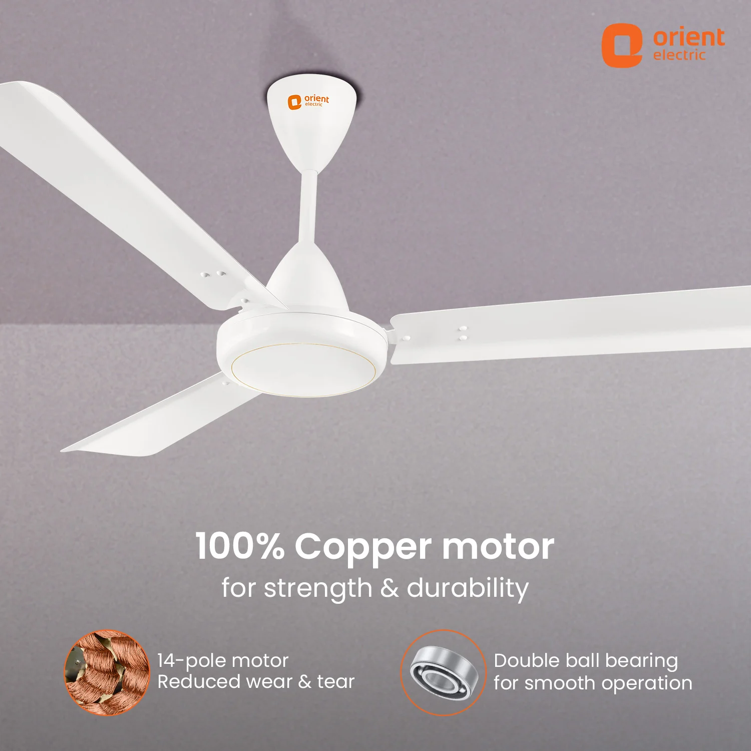 Falcon Speedstar High Speed Ceiling Fan | 5-Year Warranty - Image 18